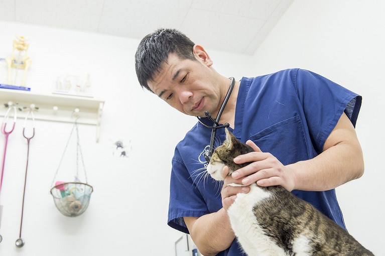 地域にとって身近な動物病院でありたいと考えています