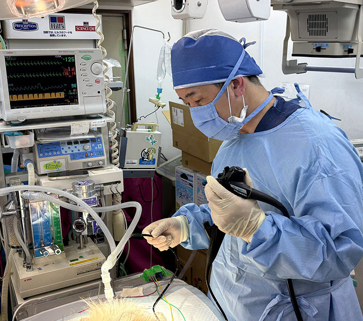 内視鏡検査の様子