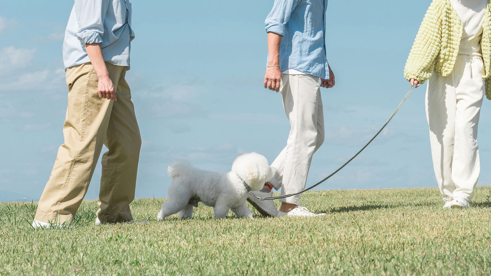 愛犬と散歩する家族の写真